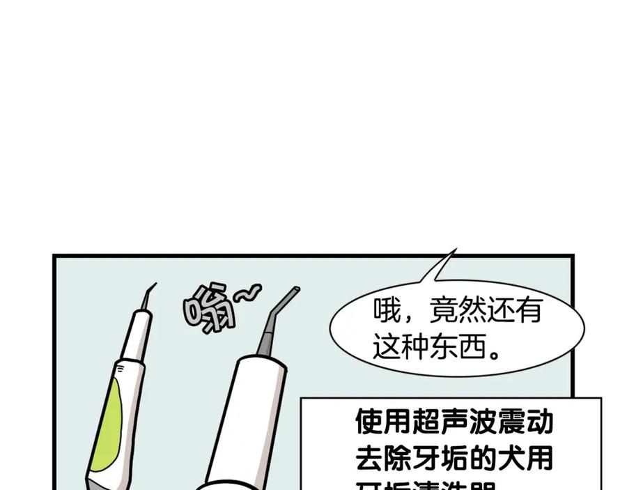 《我的狗子叫棉花》第50话 刷牙示范 第69页