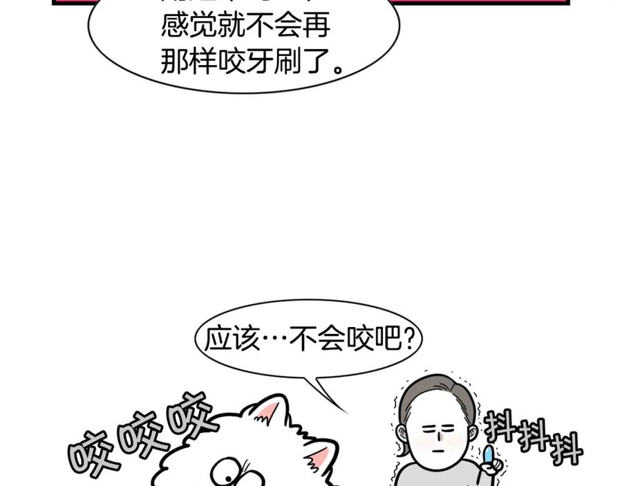 《我的狗子叫棉花》第50话 刷牙示范 第48页