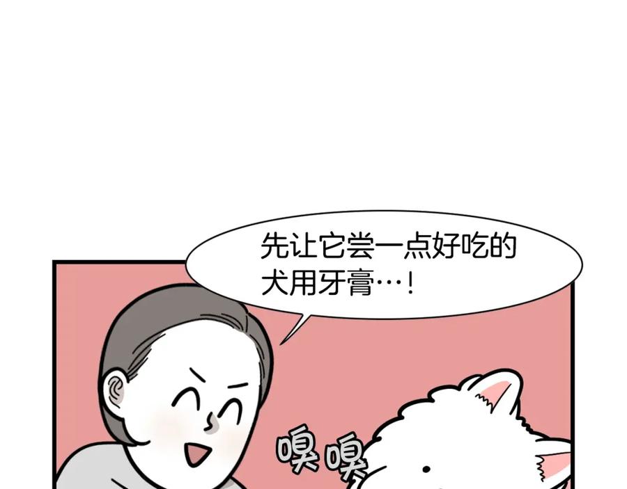 《我的狗子叫棉花》第50话 刷牙示范 第14页