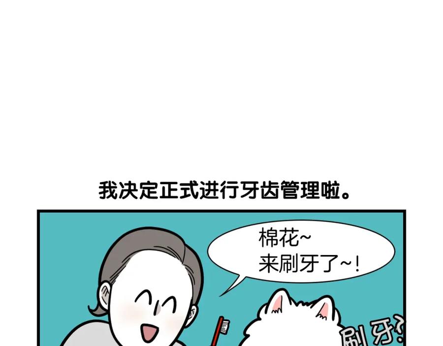 《我的狗子叫棉花》第50话 刷牙示范 第11页