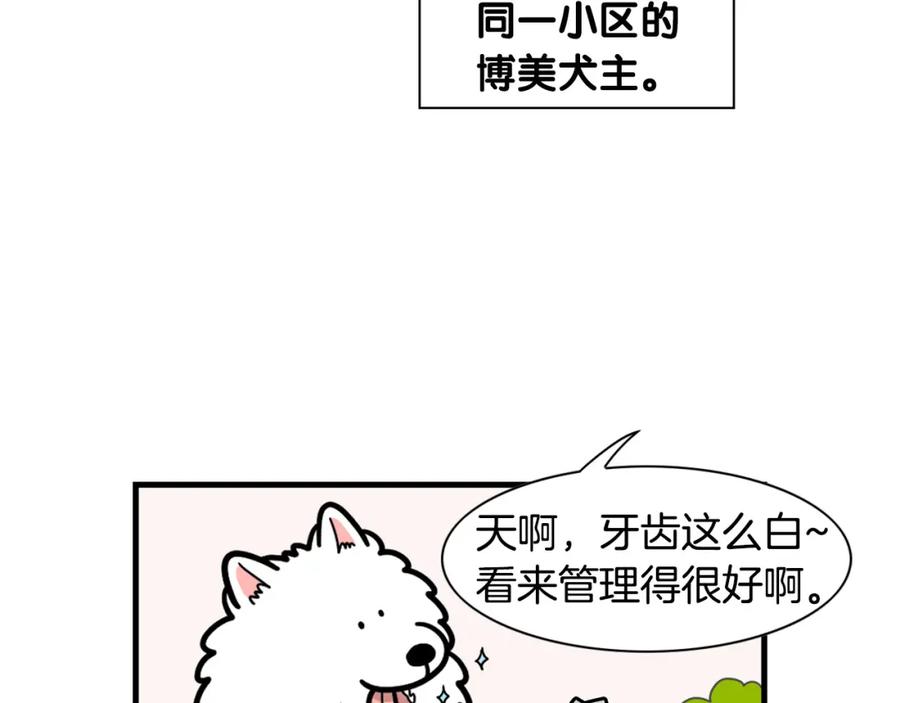 《我的狗子叫棉花》第50话 刷牙示范 第6页