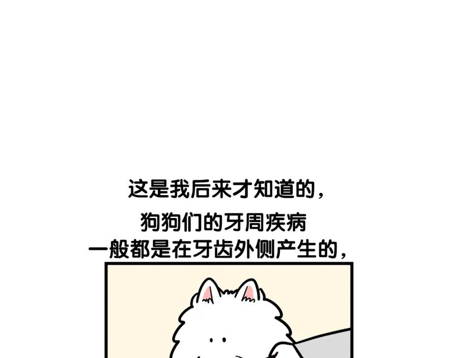 《我的狗子叫棉花》第50话 刷牙示范 第53页