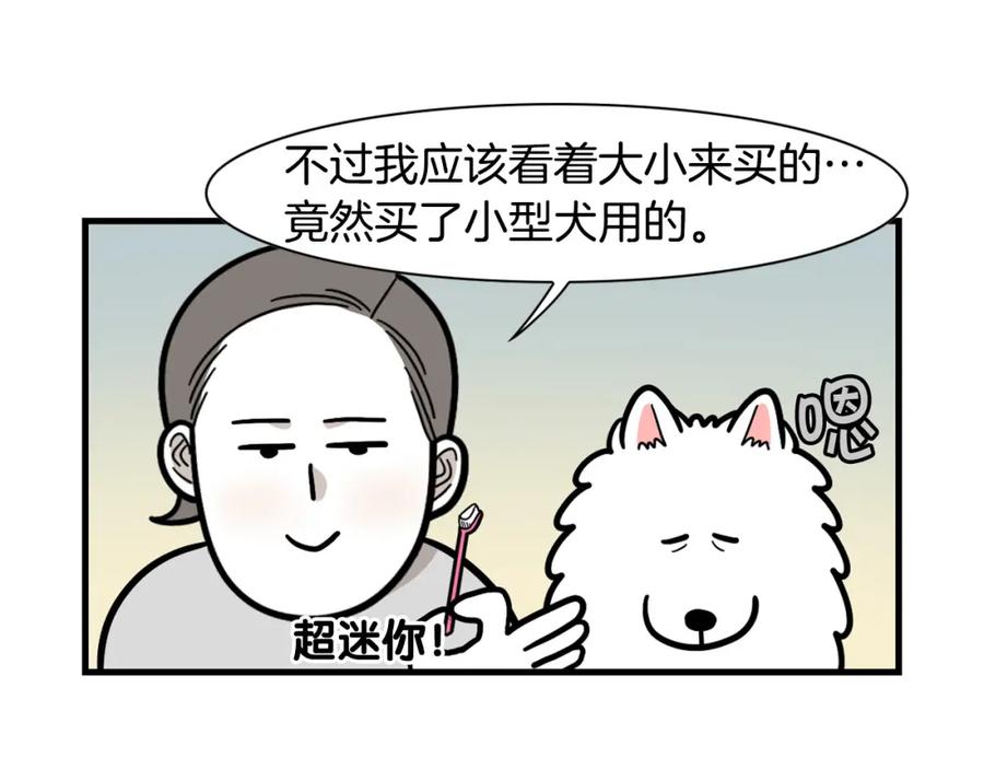 《我的狗子叫棉花》第50话 刷牙示范 第29页