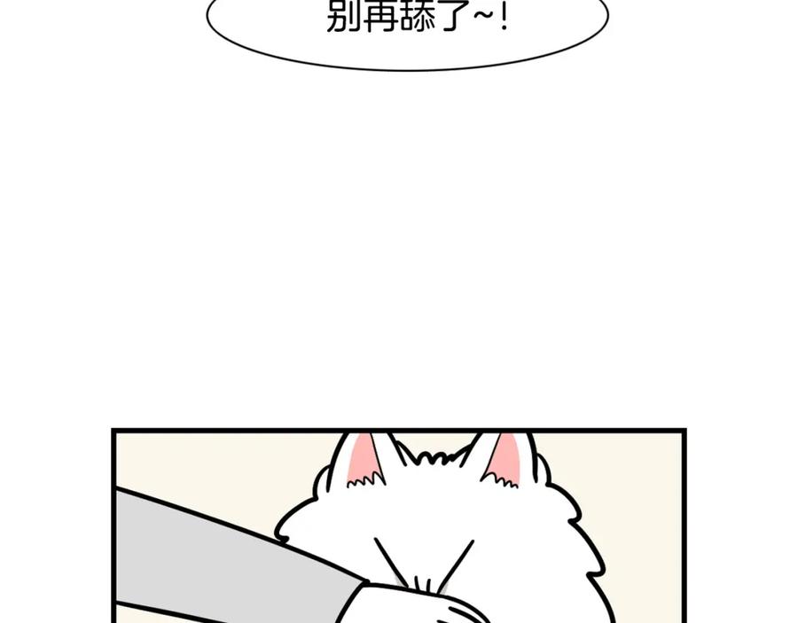 《我的狗子叫棉花》第50话 刷牙示范 第38页