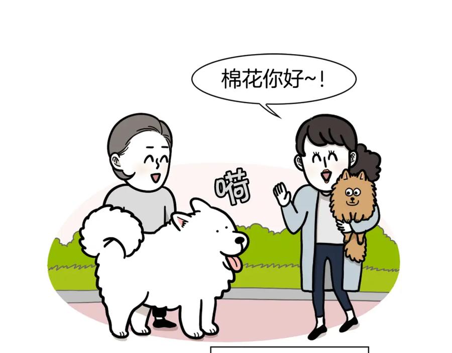 《我的狗子叫棉花》第50话 刷牙示范 第5页