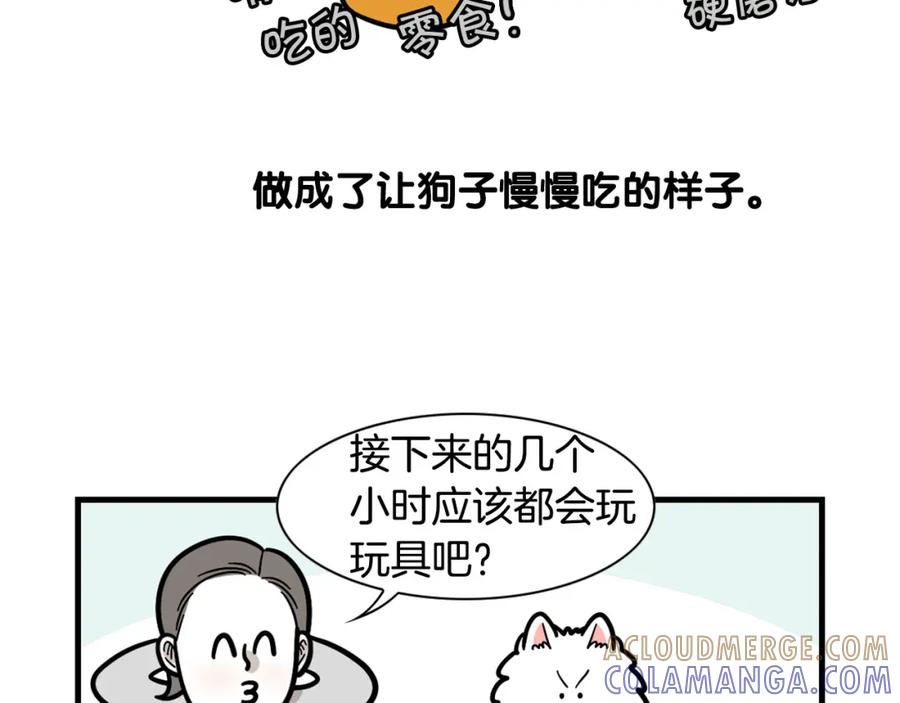 《我的狗子叫棉花》第51话 嗅闻作业 第82页