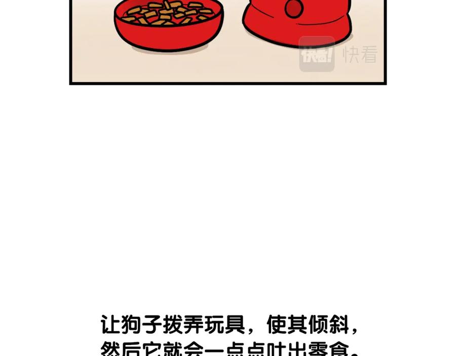 《我的狗子叫棉花》第51话 嗅闻作业 第51页