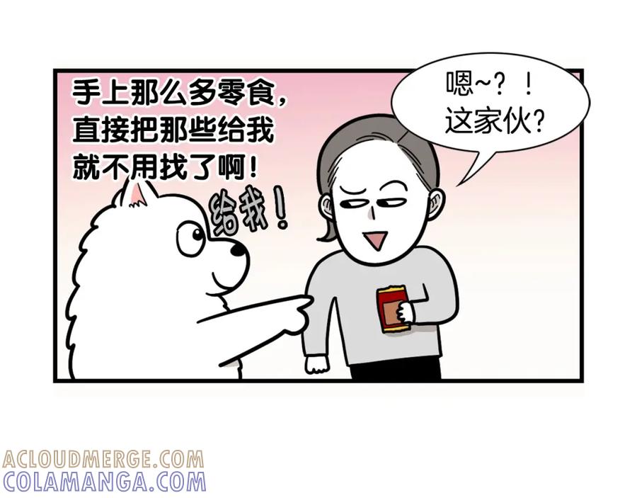 《我的狗子叫棉花》第51话 嗅闻作业 第40页