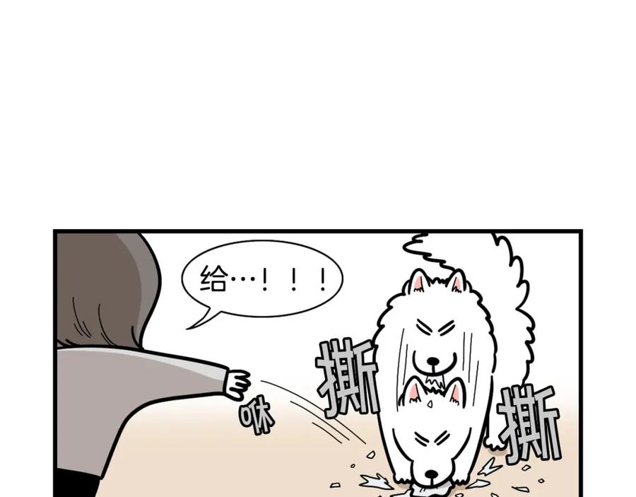 《我的狗子叫棉花》第51话 嗅闻作业 第15页