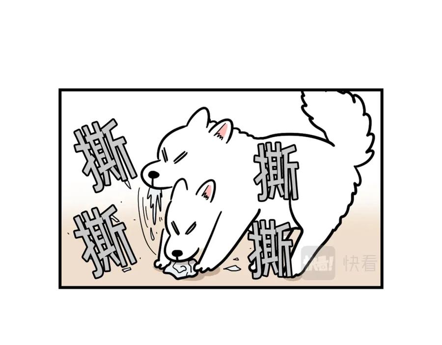 《我的狗子叫棉花》第51话 嗅闻作业 第11页