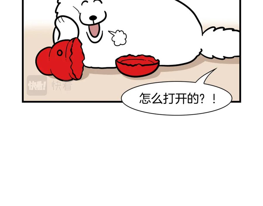 《我的狗子叫棉花》第51话 嗅闻作业 第78页