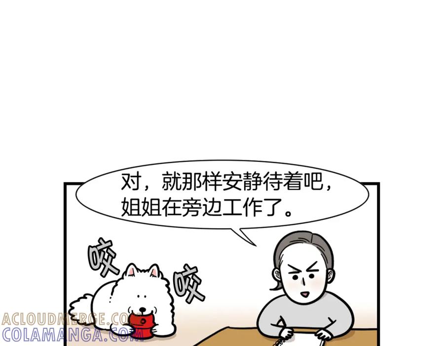 《我的狗子叫棉花》第51话 嗅闻作业 第73页