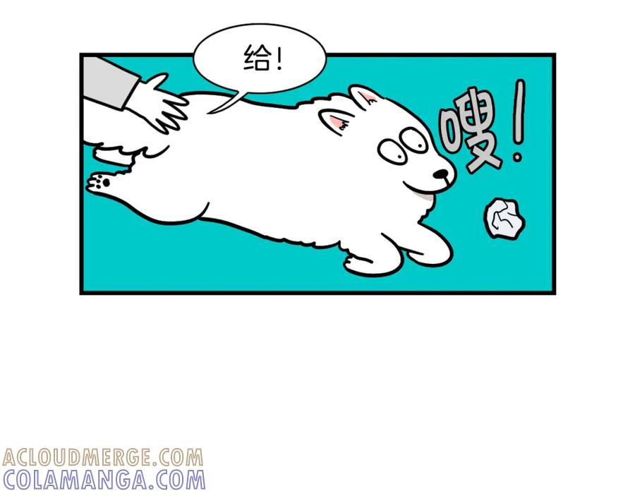 《我的狗子叫棉花》第51话 嗅闻作业 第10页