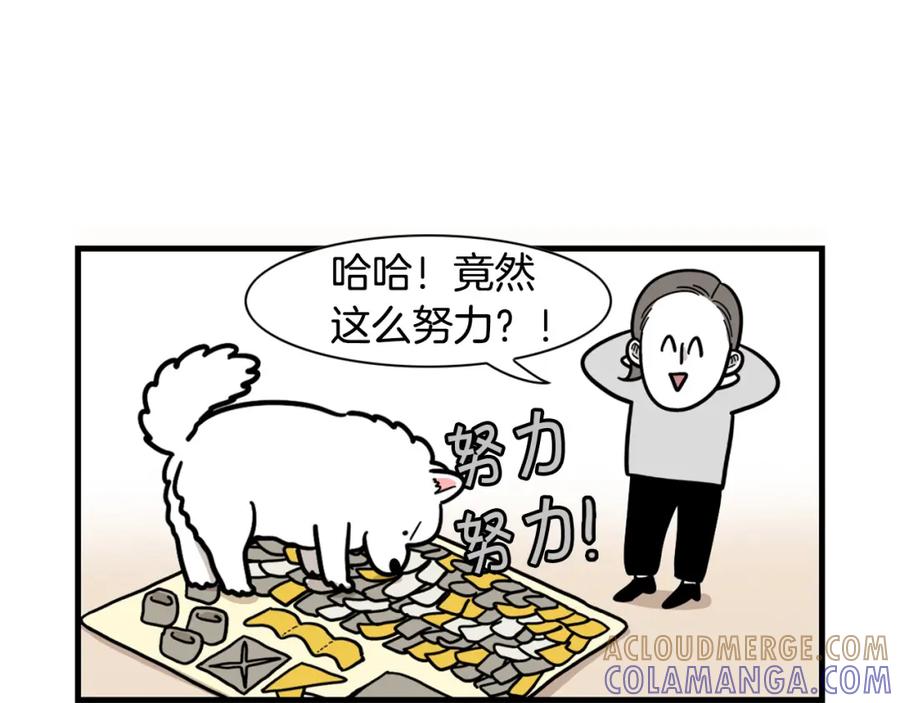 《我的狗子叫棉花》第51话 嗅闻作业 第31页