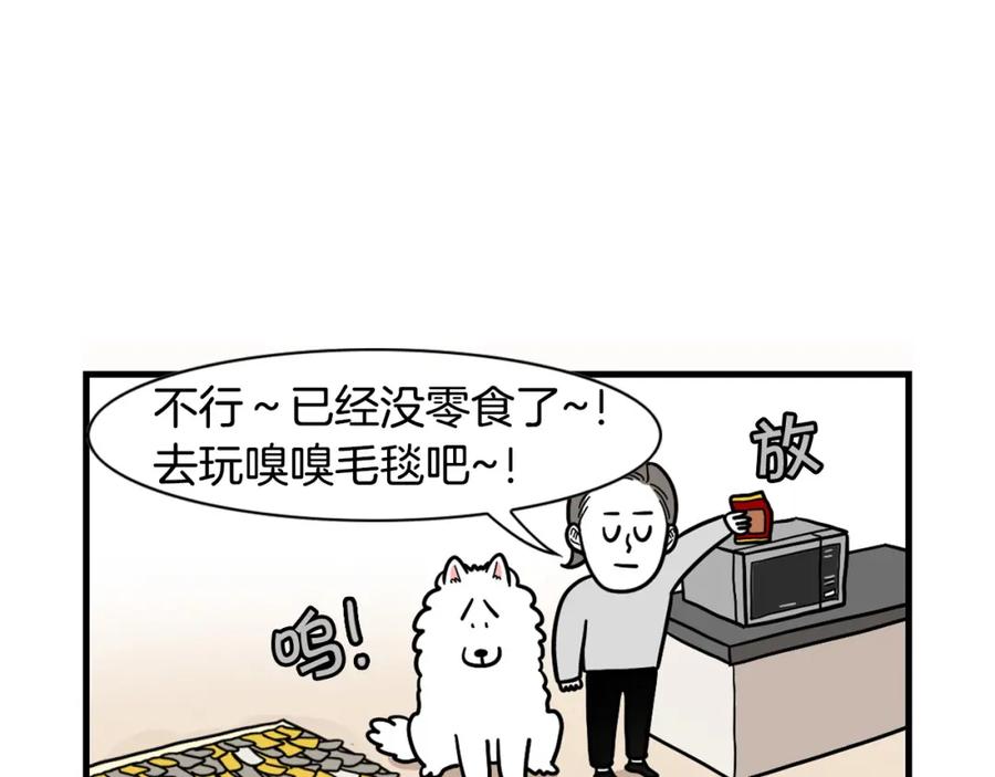 《我的狗子叫棉花》第51话 嗅闻作业 第41页