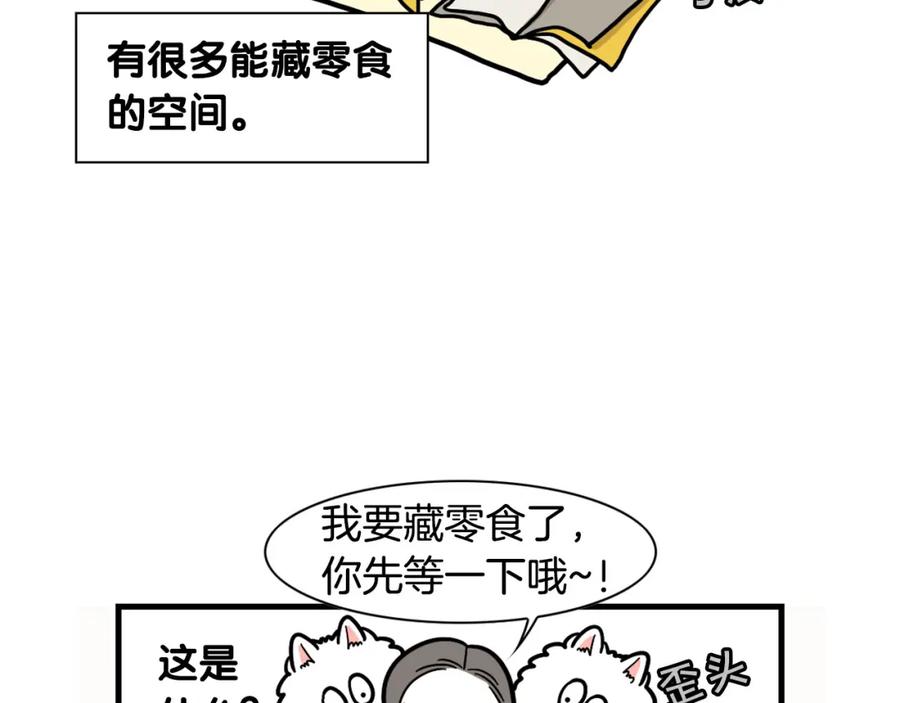 《我的狗子叫棉花》第51话 嗅闻作业 第26页
