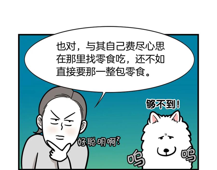 《我的狗子叫棉花》第51话 嗅闻作业 第44页