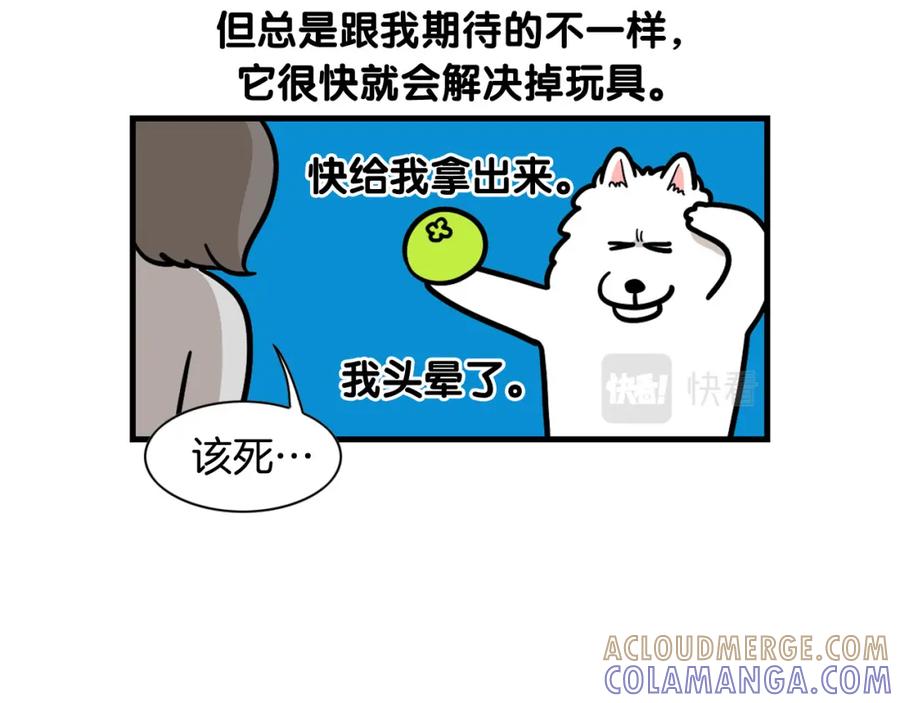 《我的狗子叫棉花》第51话 嗅闻作业 第85页