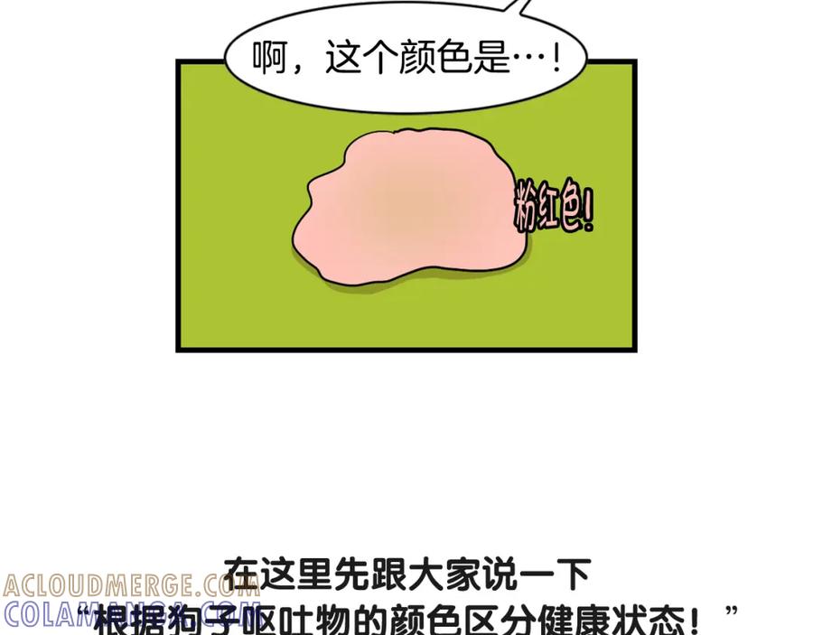 《我的狗子叫棉花》第52话 呕吐的原因 第13页
