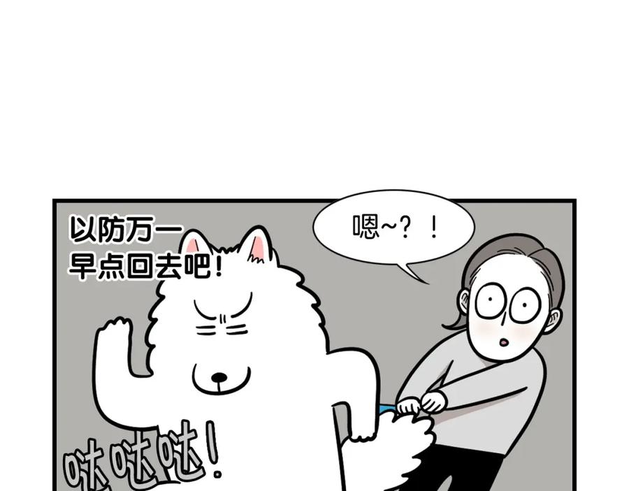 《我的狗子叫棉花》第52话 呕吐的原因 第74页