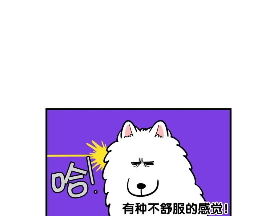 《我的狗子叫棉花》第52话 呕吐的原因 第6页