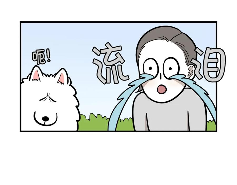 《我的狗子叫棉花》第52话 呕吐的原因 第17页