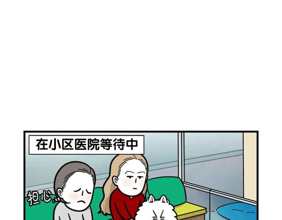 《我的狗子叫棉花》第52话 呕吐的原因 第20页