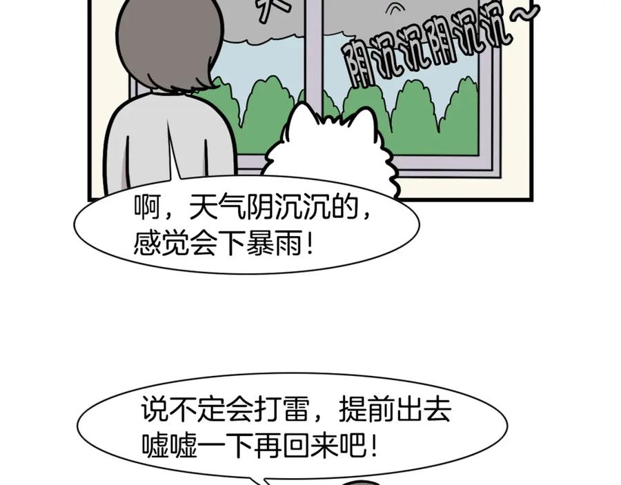 《我的狗子叫棉花》第52话 呕吐的原因 第53页