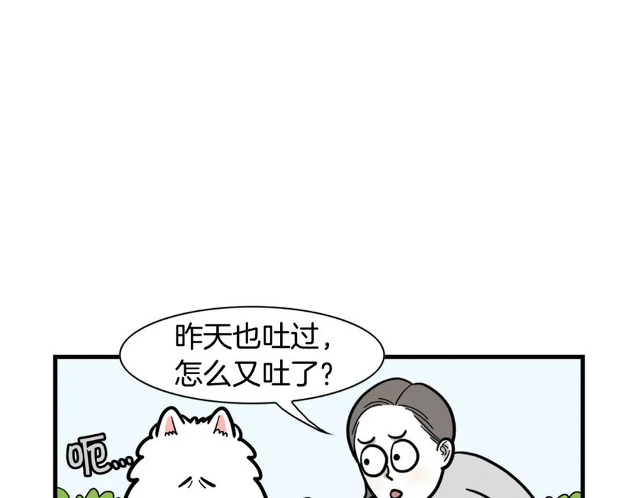 《我的狗子叫棉花》第52话 呕吐的原因 第11页