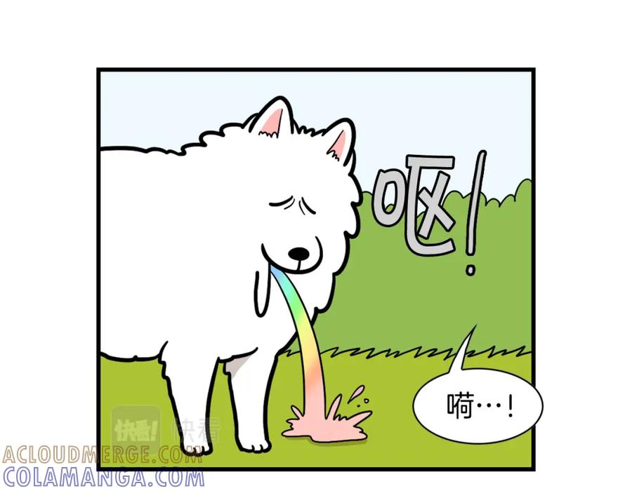 《我的狗子叫棉花》第52话 呕吐的原因 第10页
