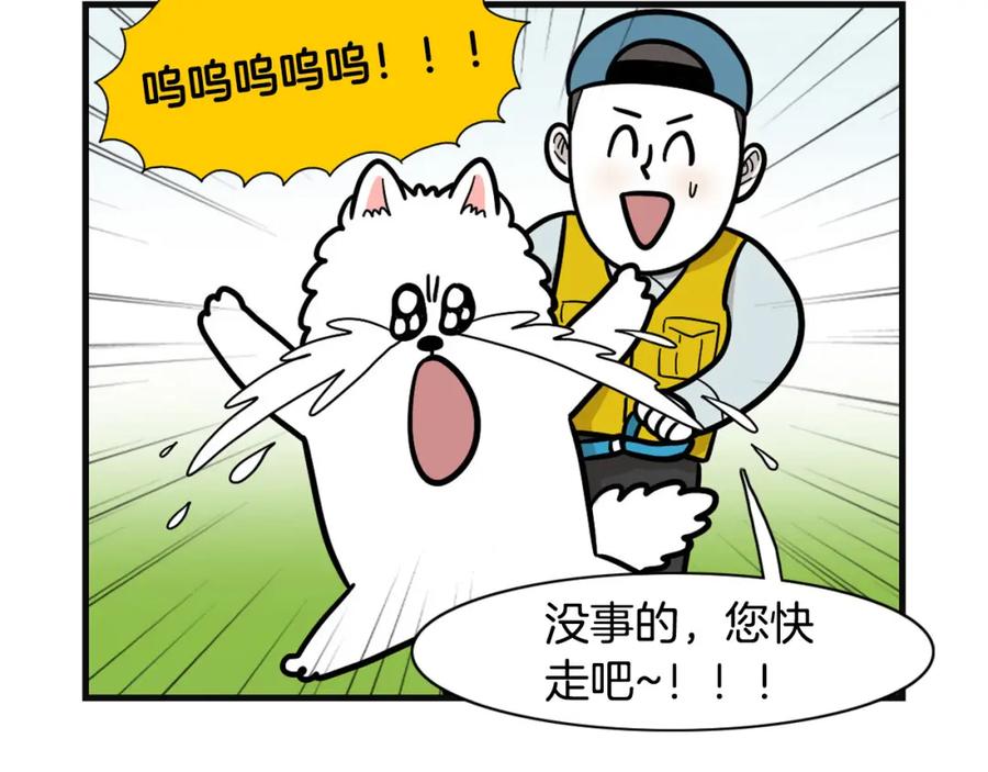 《我的狗子叫棉花》第53话 狗狗训练所 第26页