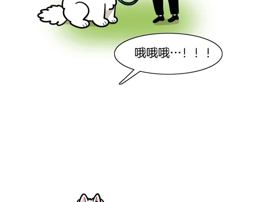 《我的狗子叫棉花》第53话 狗狗训练所 第42页