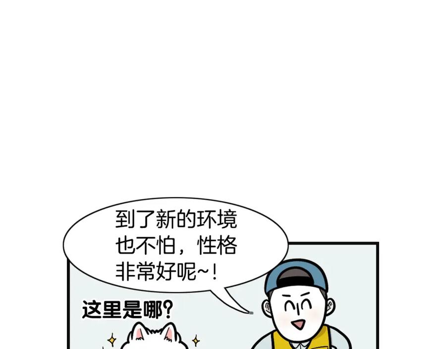 《我的狗子叫棉花》第53话 狗狗训练所 第20页