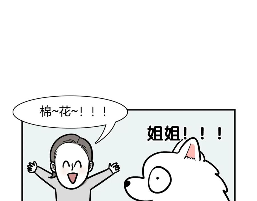 《我的狗子叫棉花》第53话 狗狗训练所 第51页