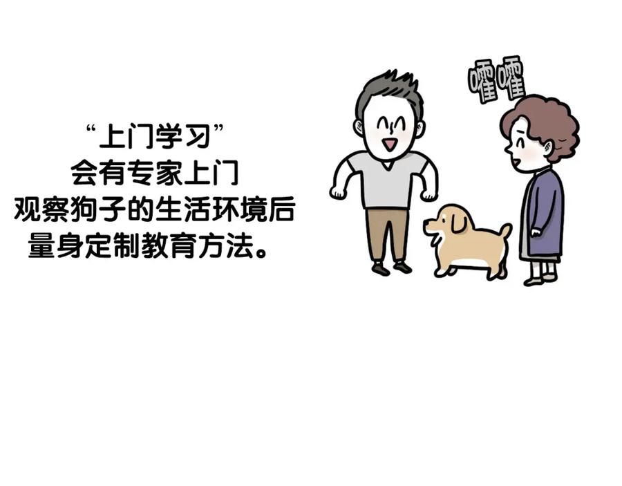 《我的狗子叫棉花》第53话 狗狗训练所 第17页