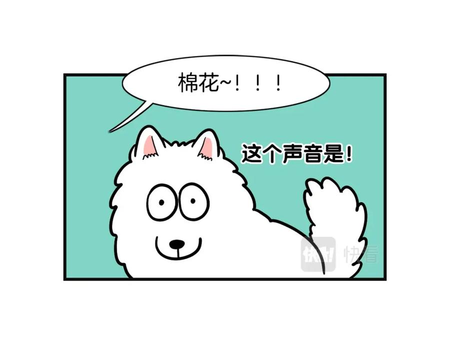 《我的狗子叫棉花》第53话 狗狗训练所 第50页