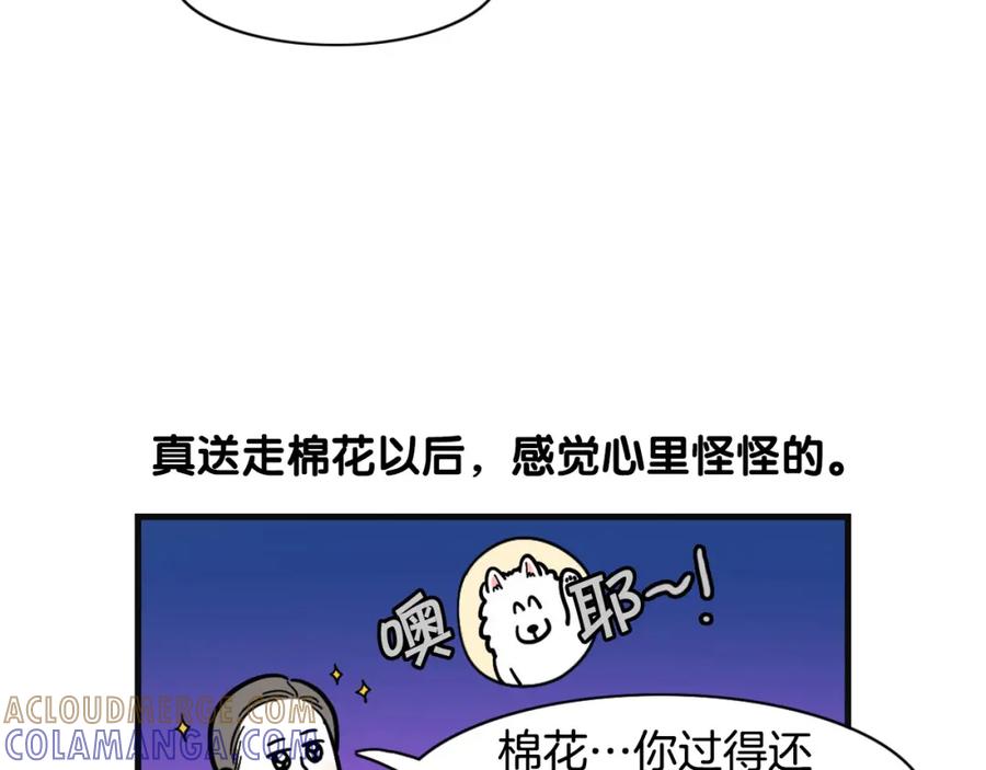 《我的狗子叫棉花》第53话 狗狗训练所 第34页
