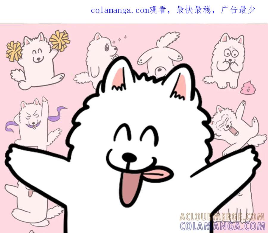 《我的狗子叫棉花》第53话 狗狗训练所 第1页