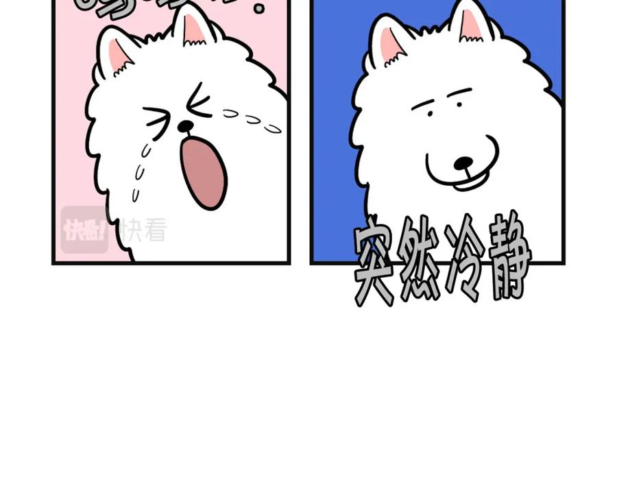 《我的狗子叫棉花》第53话 狗狗训练所 第60页