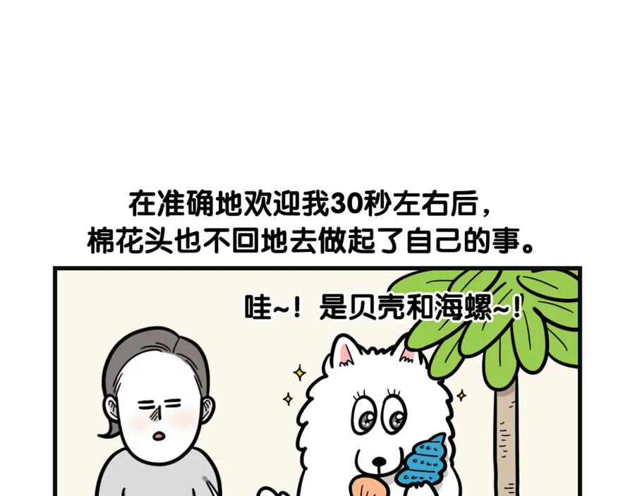 《我的狗子叫棉花》第53话 狗狗训练所 第62页