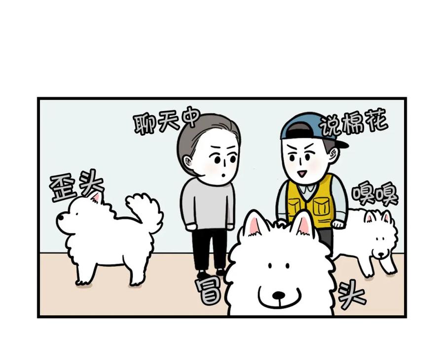 《我的狗子叫棉花》第53话 狗狗训练所 第66页