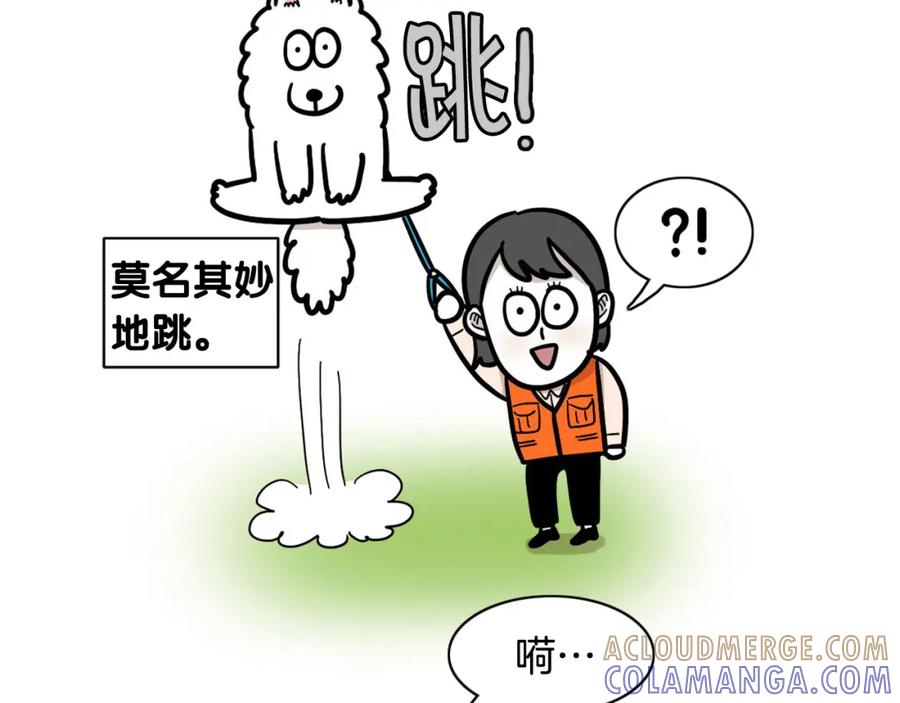 《我的狗子叫棉花》第53话 狗狗训练所 第43页
