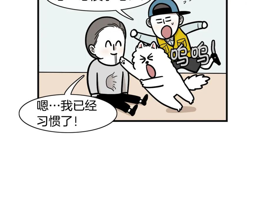 《我的狗子叫棉花》第53话 狗狗训练所 第56页