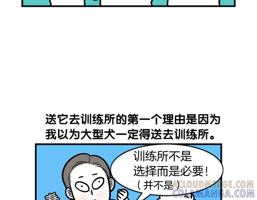 《我的狗子叫棉花》第53话 狗狗训练所 第7页