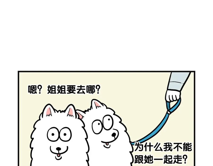 《我的狗子叫棉花》第53话 狗狗训练所 第23页