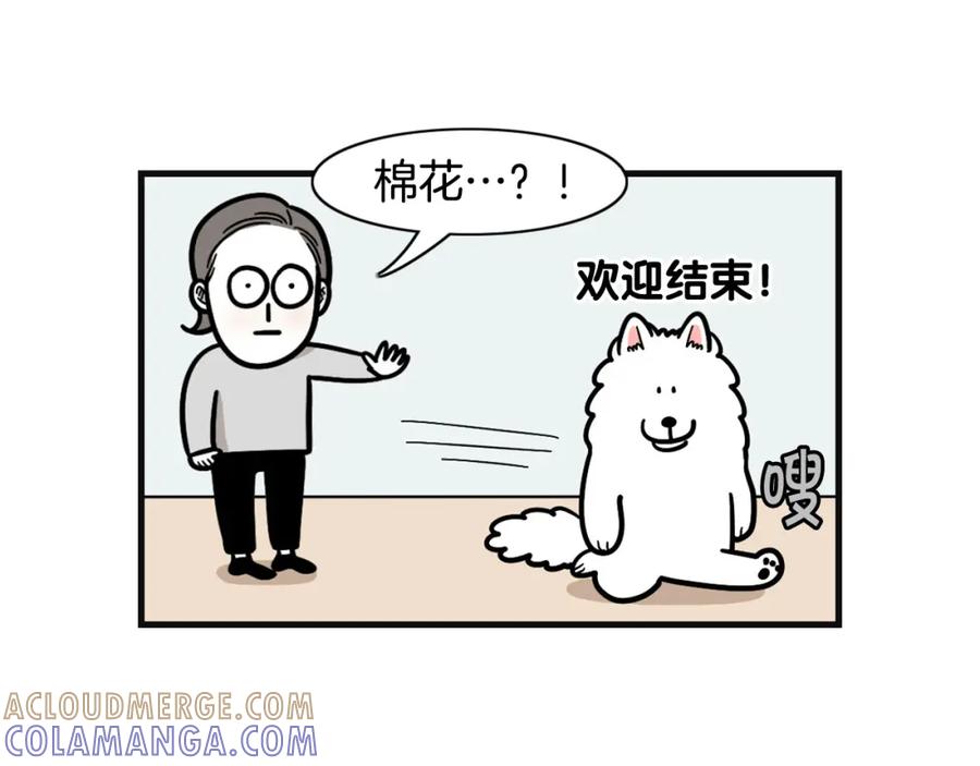 《我的狗子叫棉花》第53话 狗狗训练所 第61页
