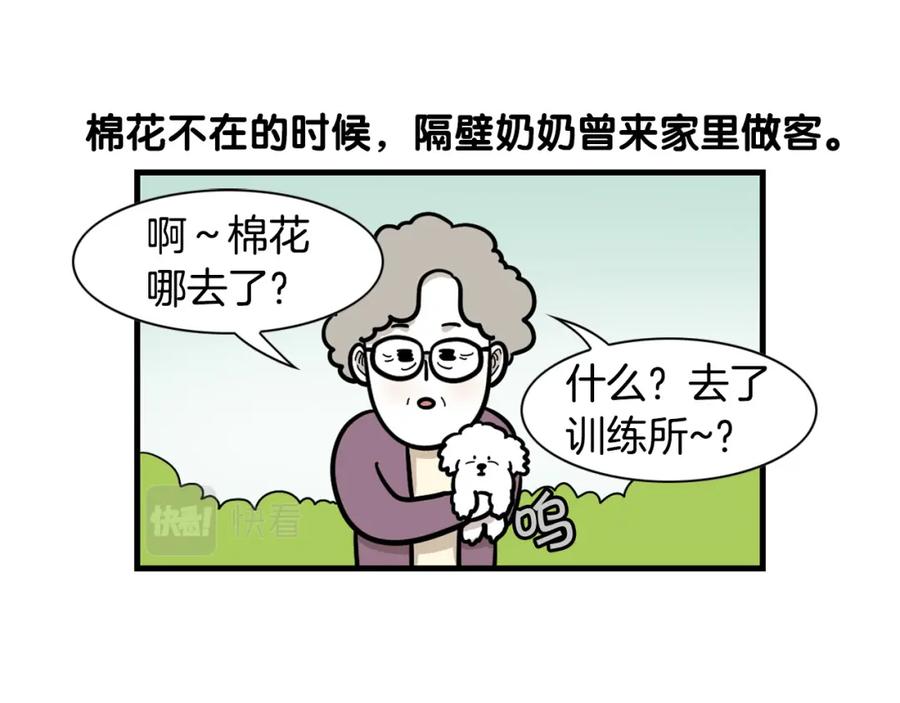 《我的狗子叫棉花》第54话 接它回家！ 第60页