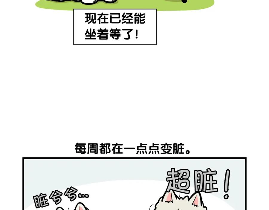 《我的狗子叫棉花》第54话 接它回家！ 第47页