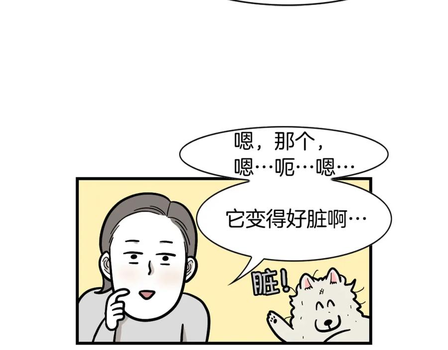 《我的狗子叫棉花》第54话 接它回家！ 第54页