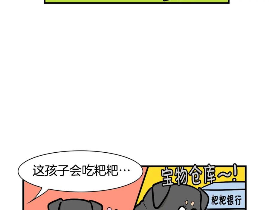 《我的狗子叫棉花》第54话 接它回家！ 第26页